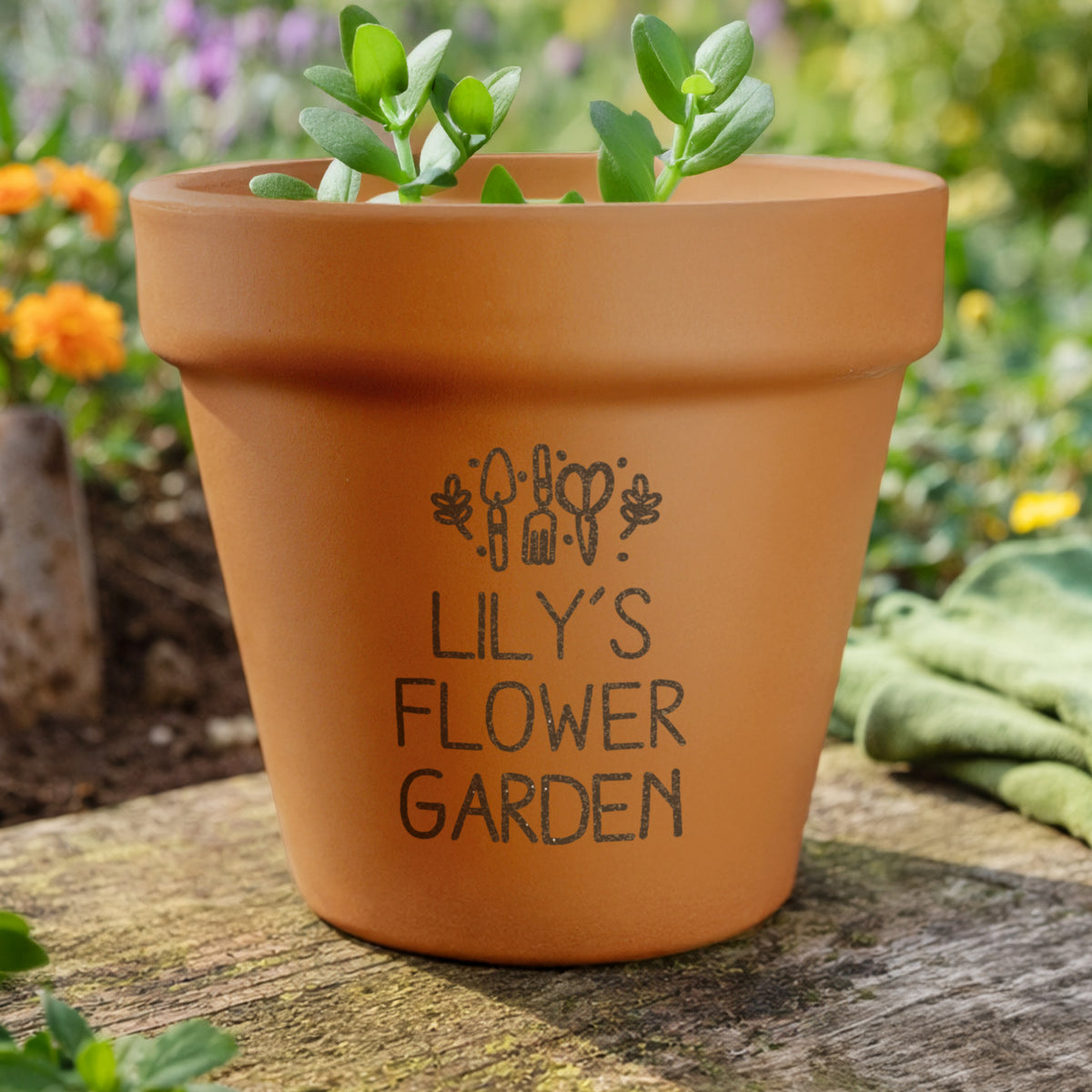 Personalised Gardening Terracotta Plant Pot