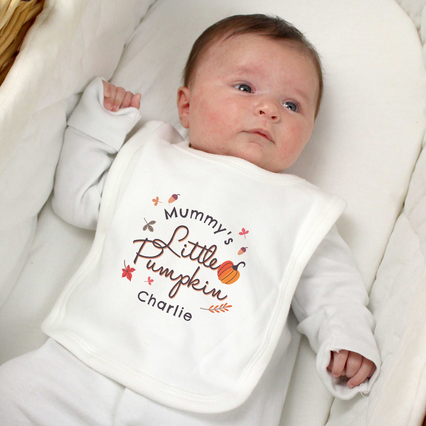 Little Pumpkin Bib