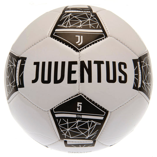 Black and white 32 panel everyday PVC football