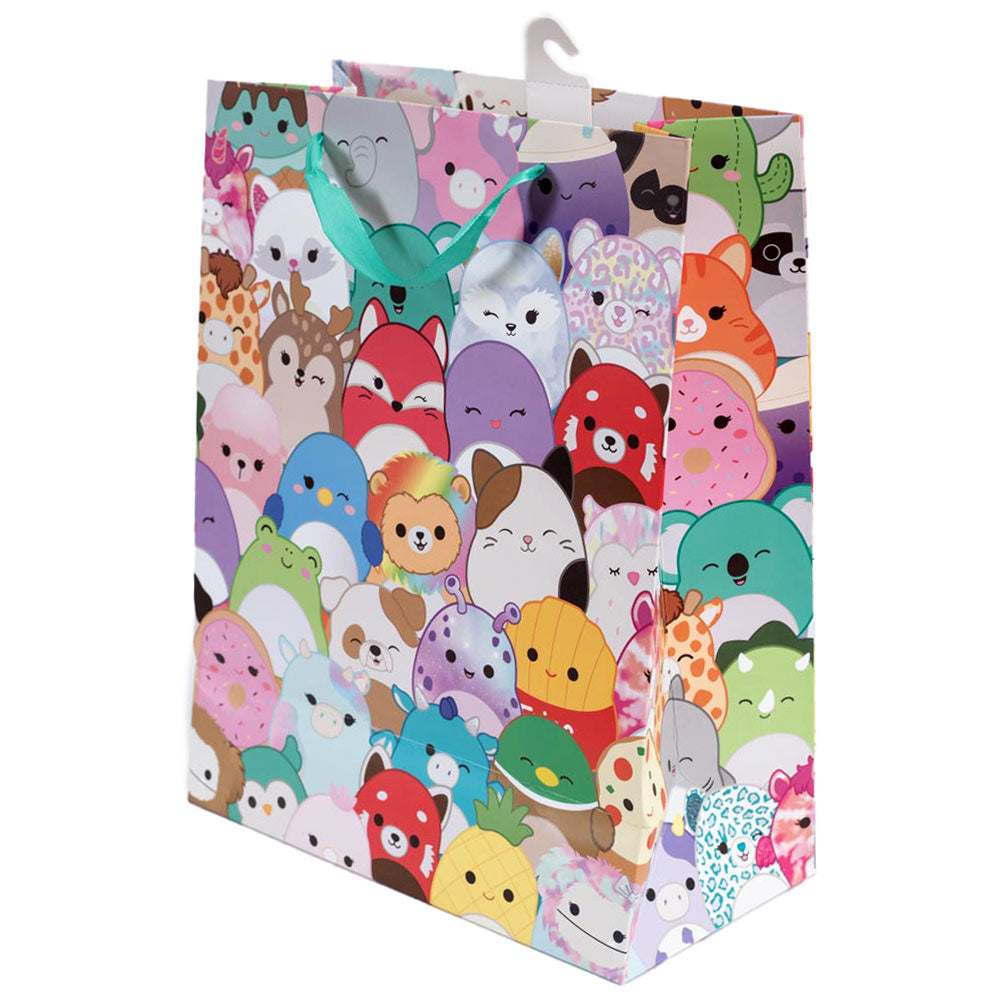 Medium sized multi colour gift bag and tag