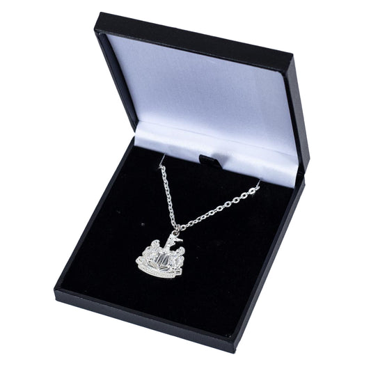 Silver plated pendant and necklace