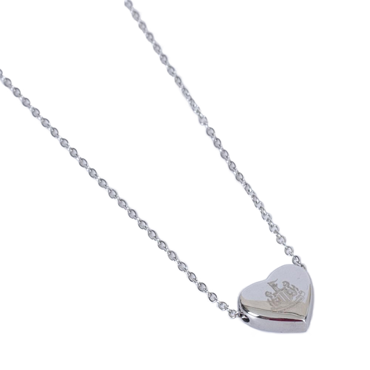 Stainless steel heart shaped pendant and necklace