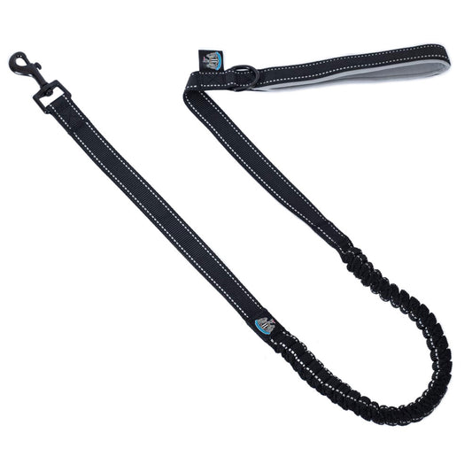 Newcastle United Bungee Dog Lead