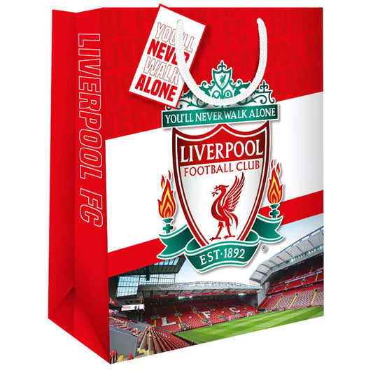 Medium sized stadium card gift bag and tag