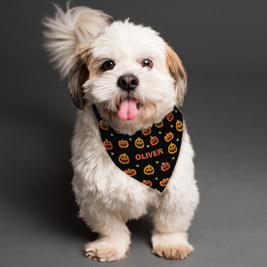Pumpkin Patch Dog Bandana