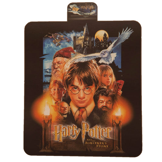 Harry Potter Picnic Blanket Hedwig