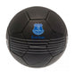 Everton FC React Skill Ball
