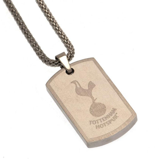 Small stainless steel dog tag and chain