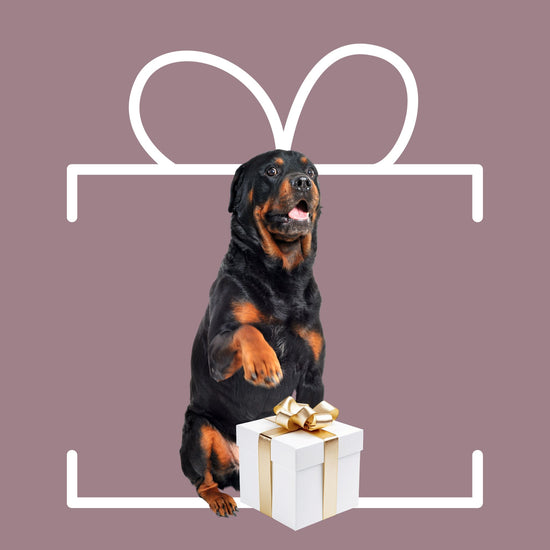 Rottweiler Gift, Gifts for Pets