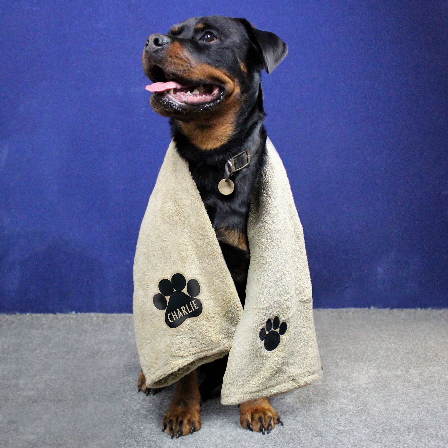 Rottweiler Dog with large personalised microfiber dog towel By Sweetlea Gifts