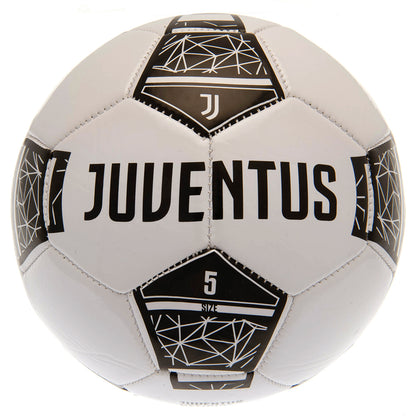 Black and white 32 panel everyday PVC football