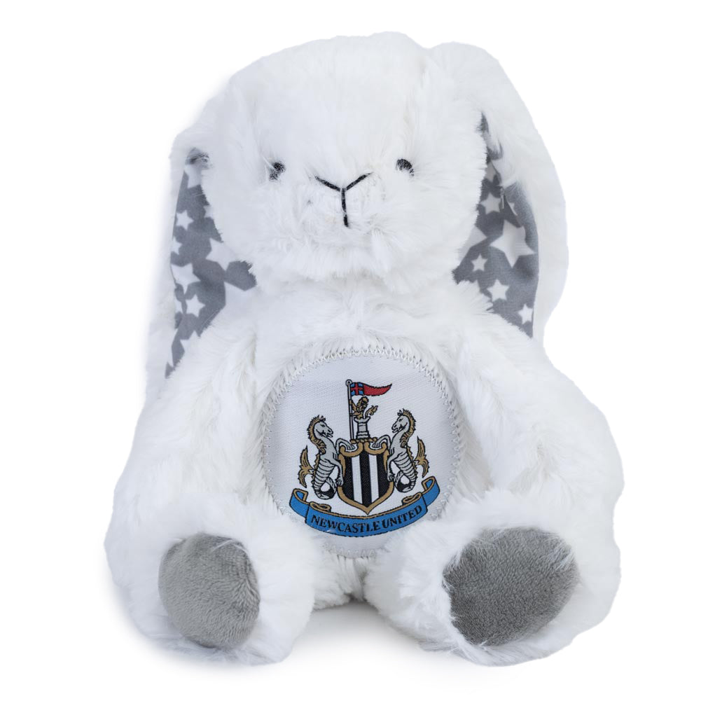 Soft to touch white plush rabbit