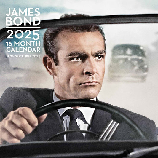 Year 2025 square wall calendar