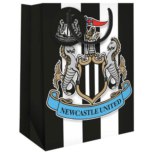 Medium sized colour card gift bag and tag