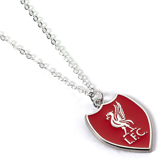 Hypo-allergenic silver finish necklace