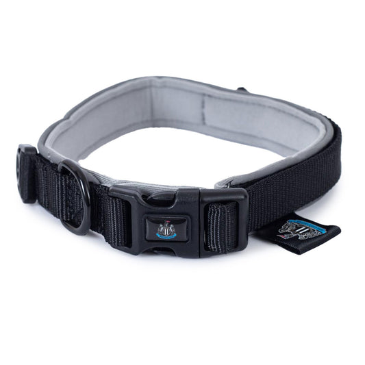Black adjustable dog collar with reflective stitching