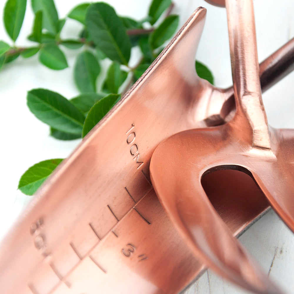 Personalised Luxe Trowel and Fork Set