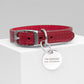 Personalised Classic Leather Dog Collar with Tag