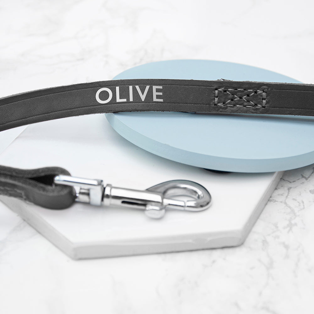 Personalised Classic Leather Dog Lead