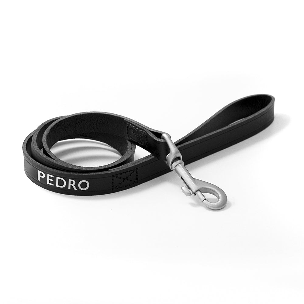Personalised Classic Leather Dog Lead