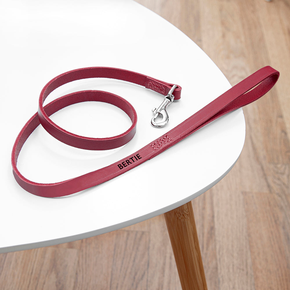 Personalised Classic Leather Dog Lead