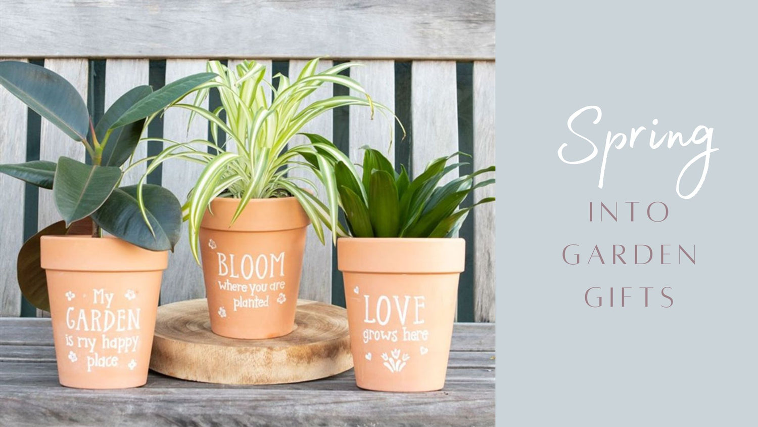 three terracotta plant pots advertising spring into garden gifts