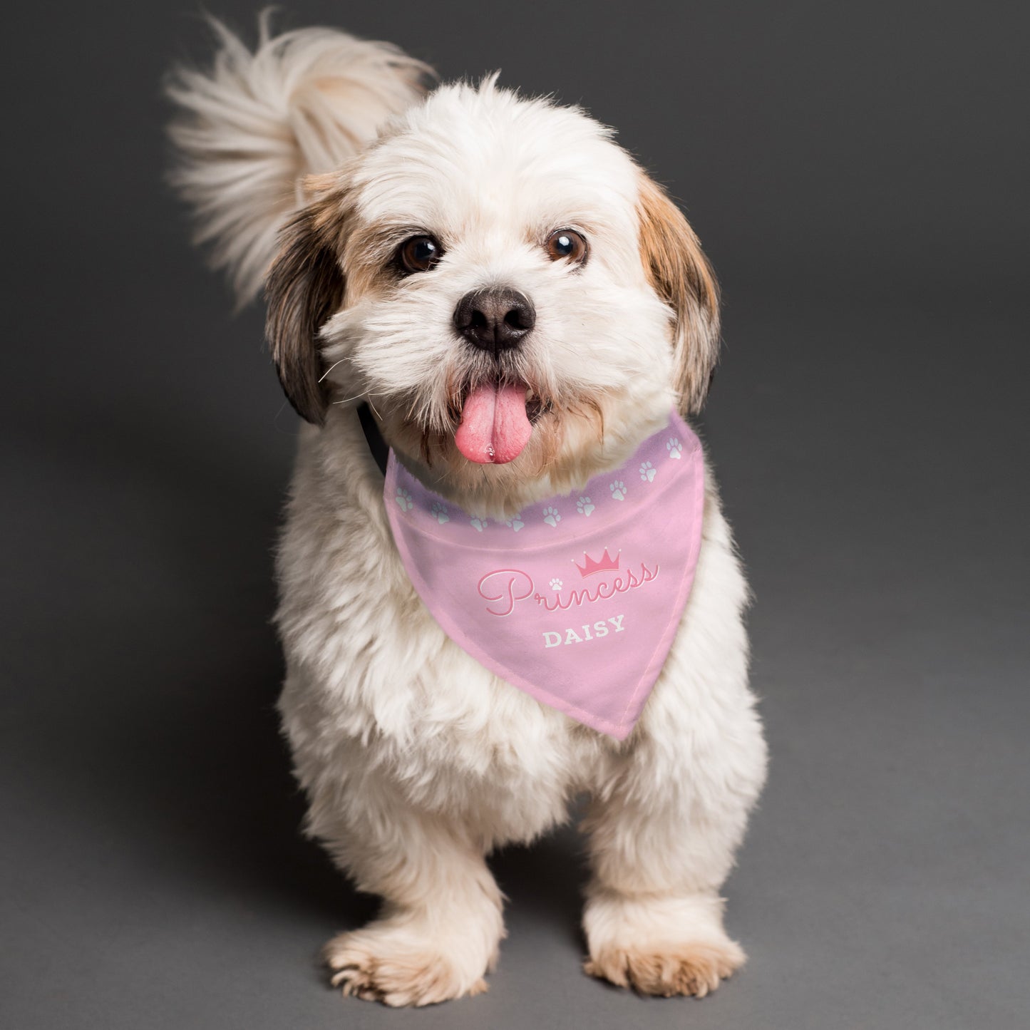 Princess Personalised Dog Bandana-Personalised Gift By Sweetlea Gifts