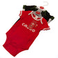 Wales RU 2 Pack Bodysuit 6-9 Mths PC