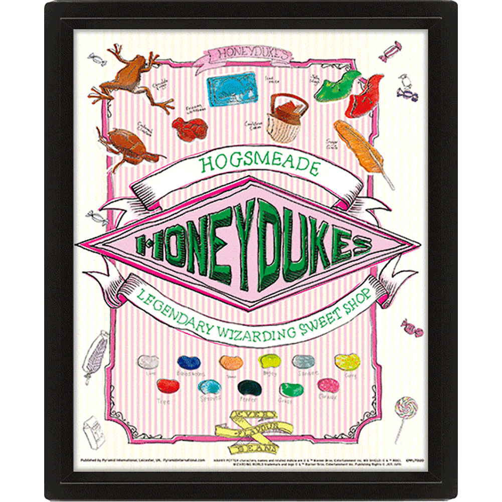 Harry Potter Framed 3D Picture Honeydukes