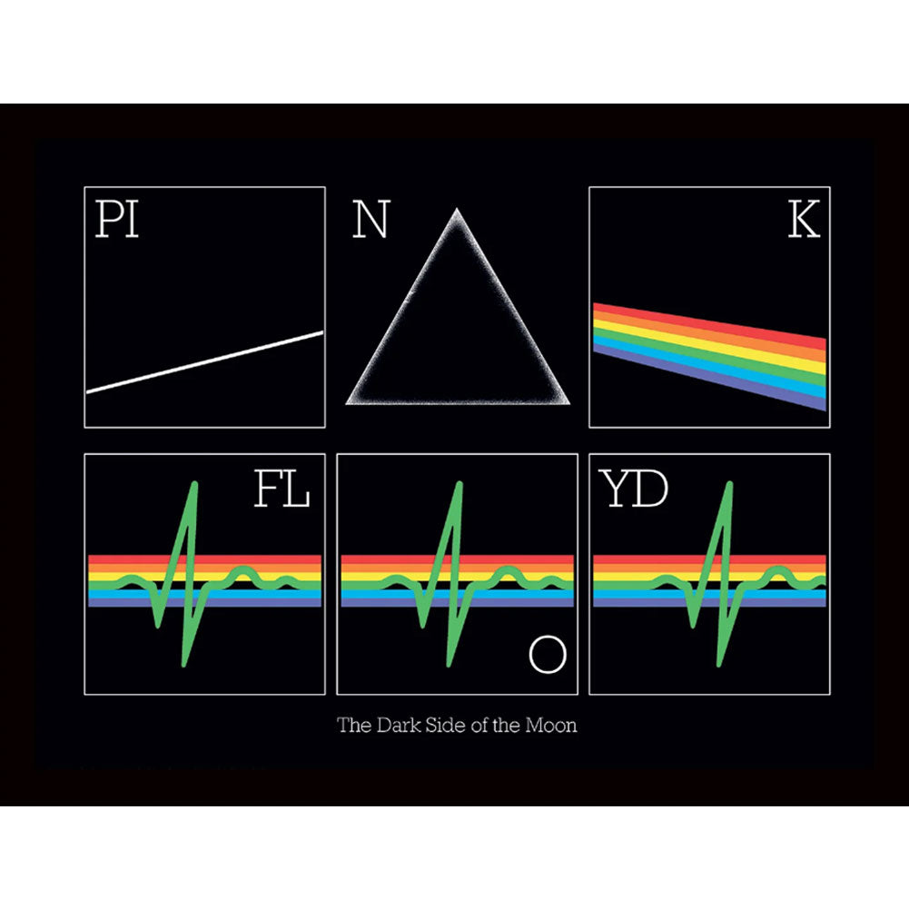 Pink Floyd Picture Heartbeat 16 x 12