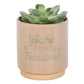 Cream Speckle Blooming Fabulous Plant Pot